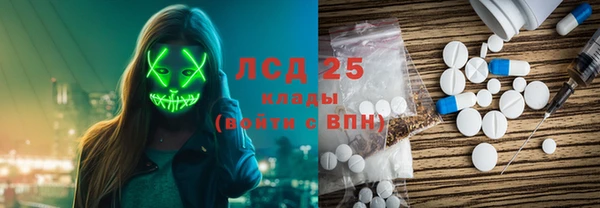 мдпв Ельня