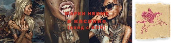 мдпв Ельня
