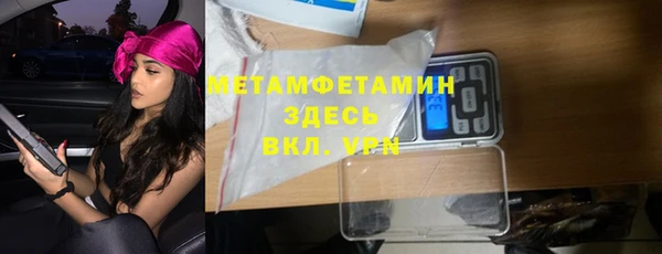 мдпв Ельня