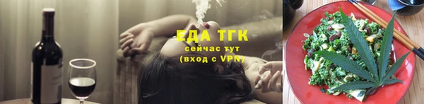 мдпв Ельня