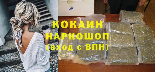 мдпв Ельня