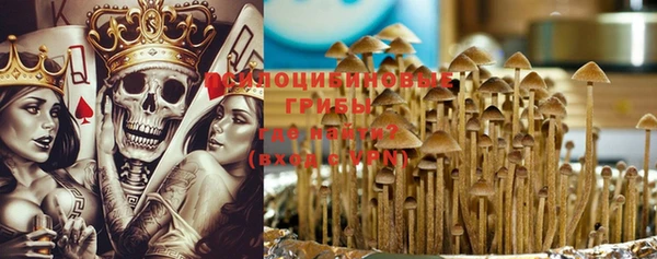 молекула духа Заводоуковск