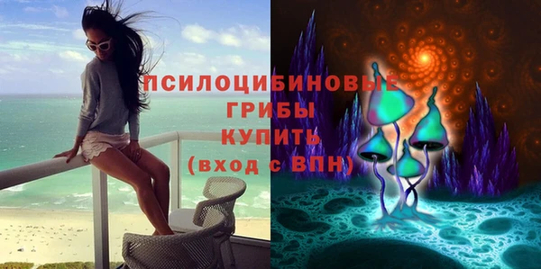 герыч Дедовск