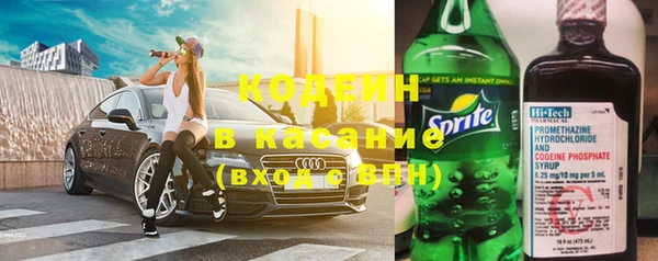 мдпв Ельня