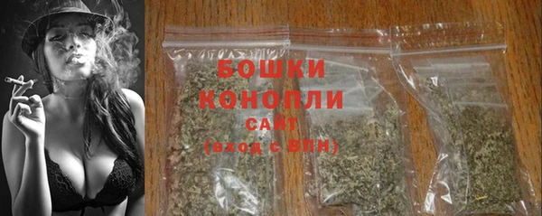 СК Дегтярск