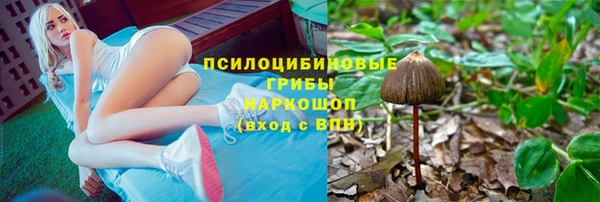 герыч Дедовск