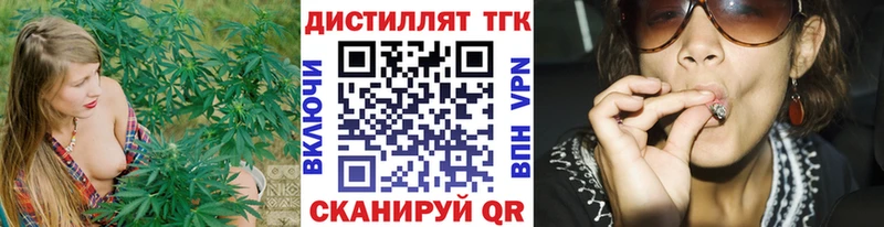 сколько стоит  Камызяк  ТГК концентрат 