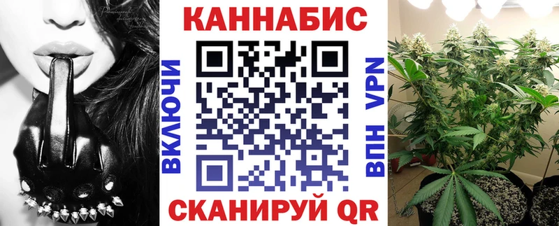 Каннабис конопля Камызяк
